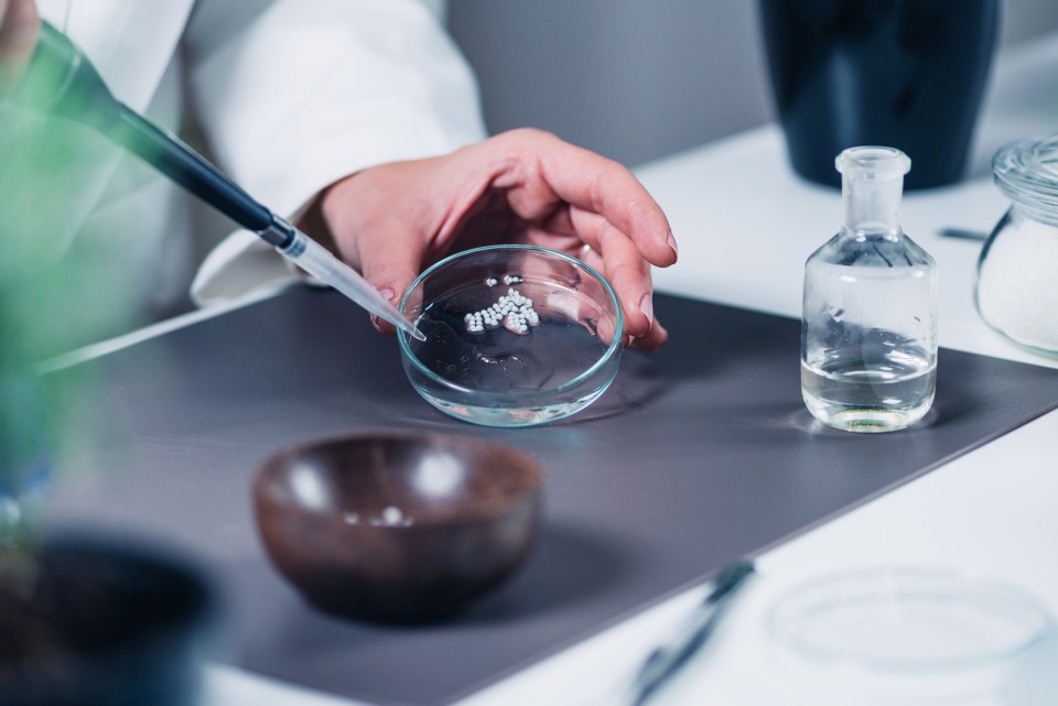 Kai Jansen Mobile Tierheilpraxis Hunde