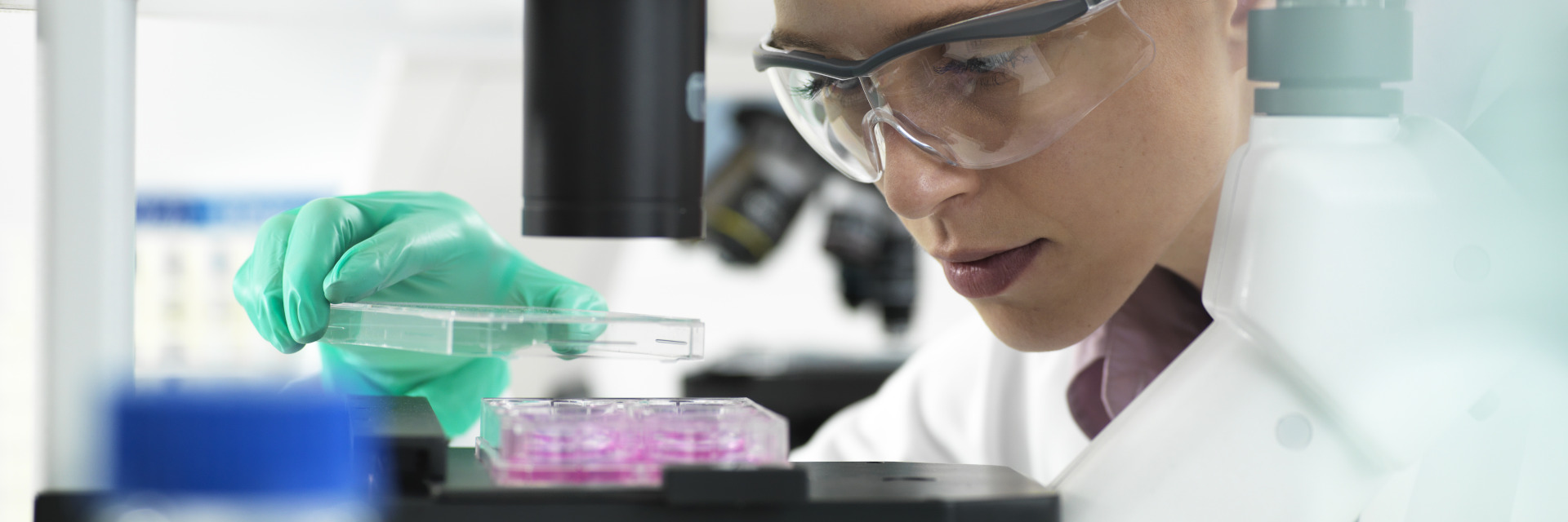 Kai Jansen Mobile Tierheilpraxis Zytoplasmatische Therapie